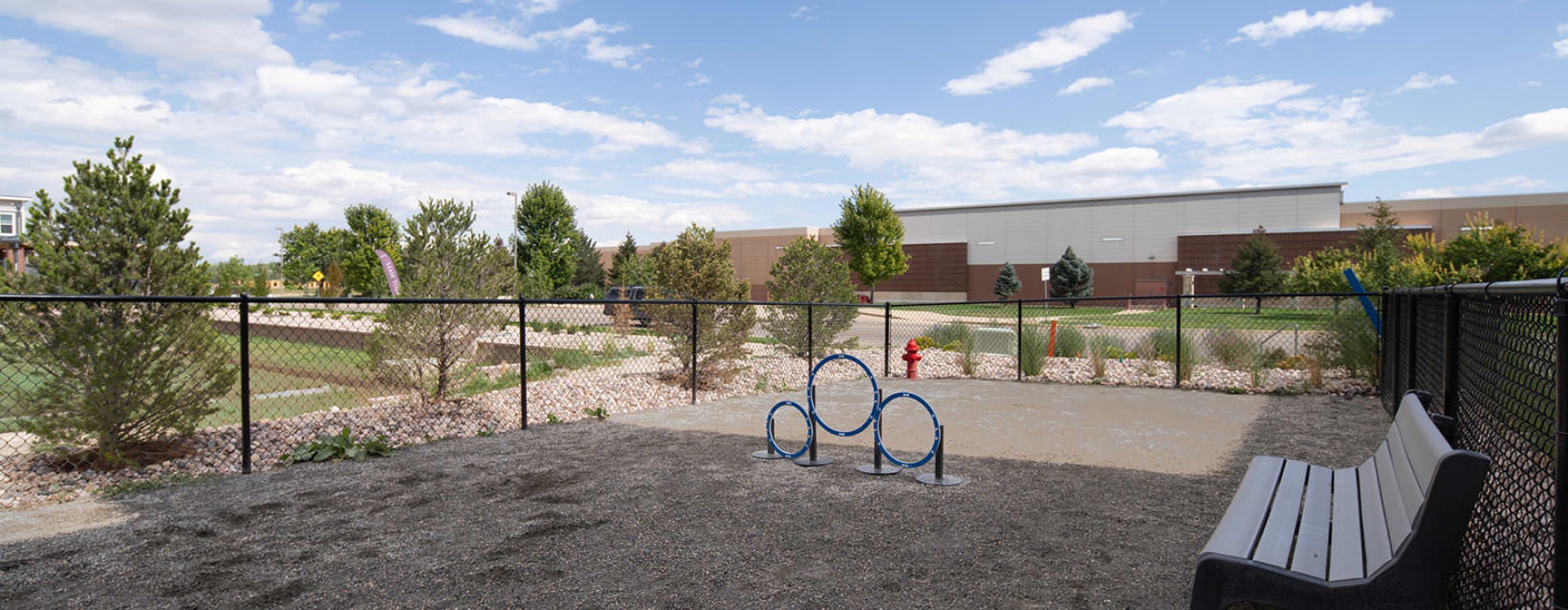 gated, outdoor dog park